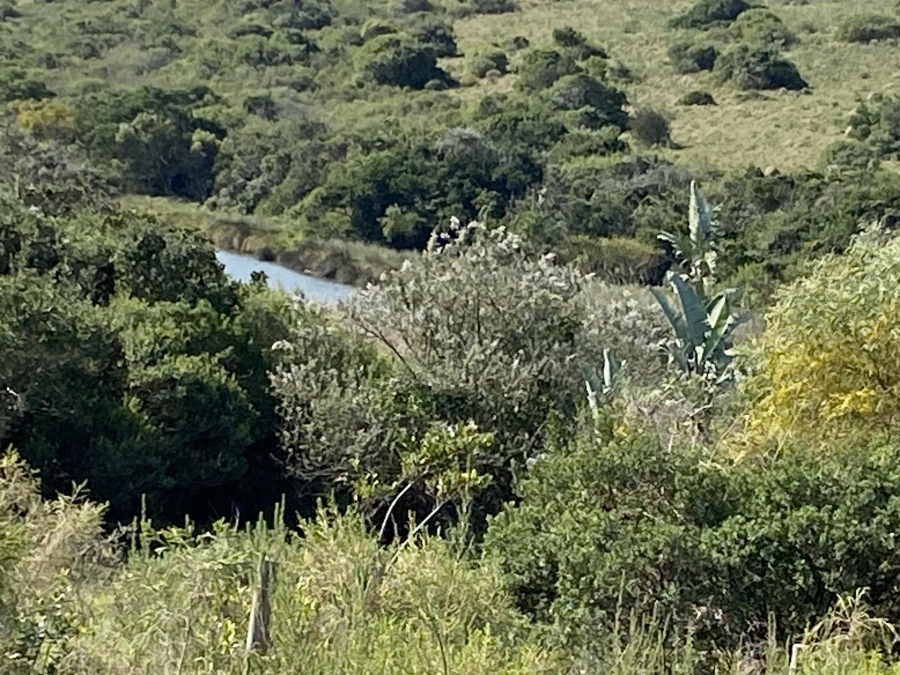 0 Bedroom Property for Sale in Kidds Beach Eastern Cape